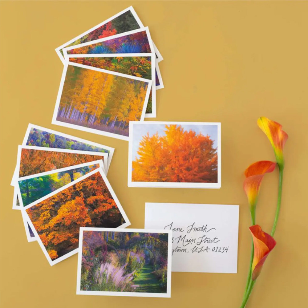 (2024) Autumn Colors Forever Stamps