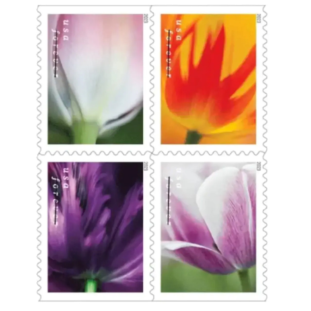 (2023) US Tulip Blossoms First-Class Forever Stamps