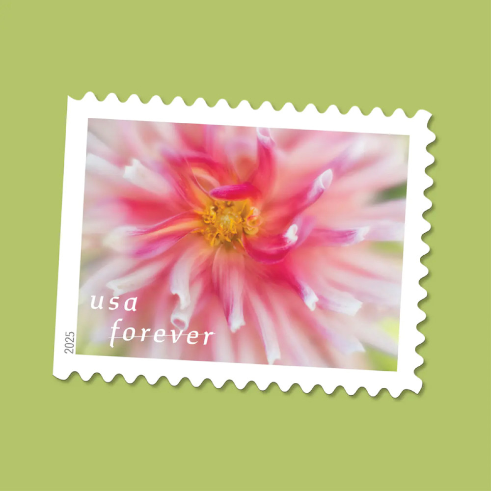 (2025) Dahlias Stamps Book of 20